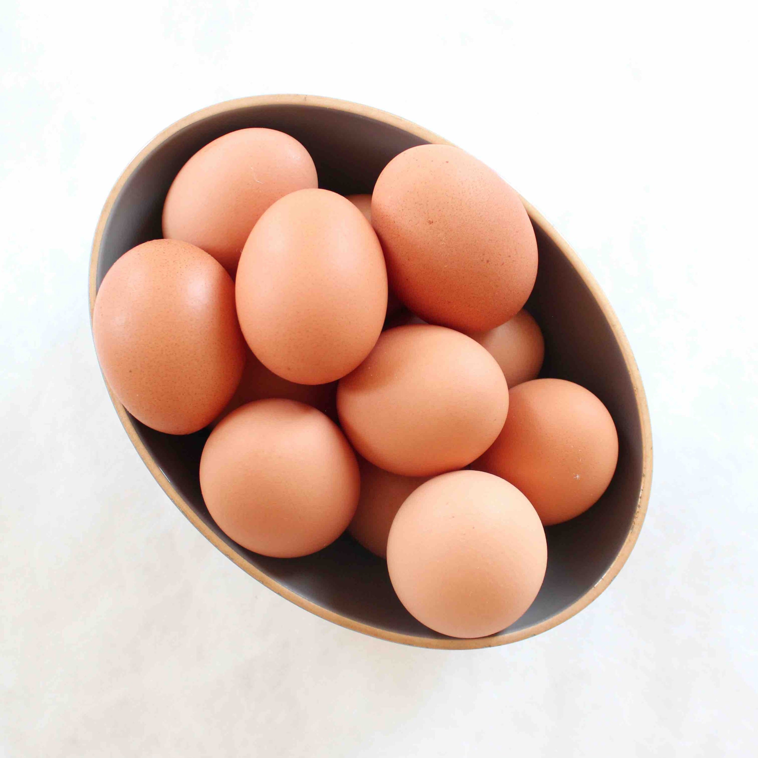 Grazing Fields Eggs Free Range Brown Eggs Biodegradable Pulp Egg